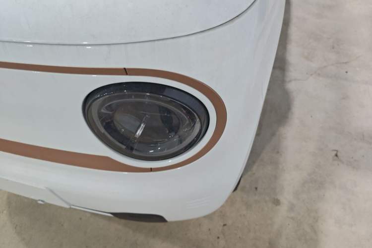 Used  Panda 2024 Panda Mini 200km Endurance Bear
