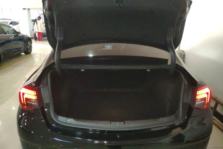 Used Buick Regal 2019 20T Elite Version China VI Standard
