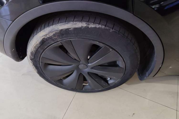 Used Tesla Model Y 2021 Standard Range Rear-Wheel Drive Version
