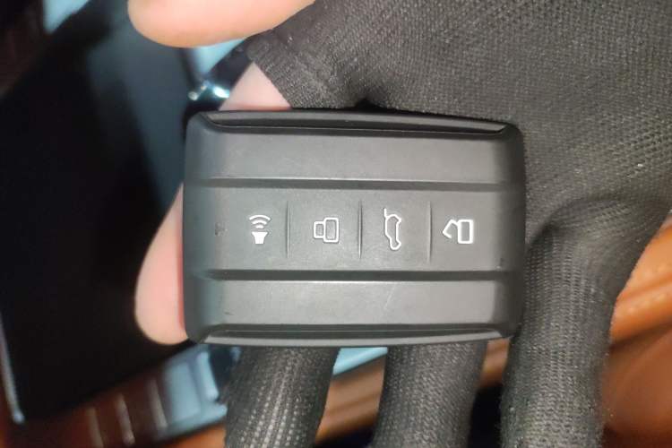 Used Tank 700 New Energy 2024 Hi4-T Extreme Edition
