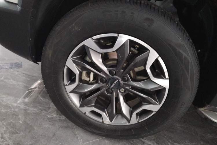 Used Haval DARGO 2021 2.0T DCT 4x4 Chinese Rural Dog Edition
