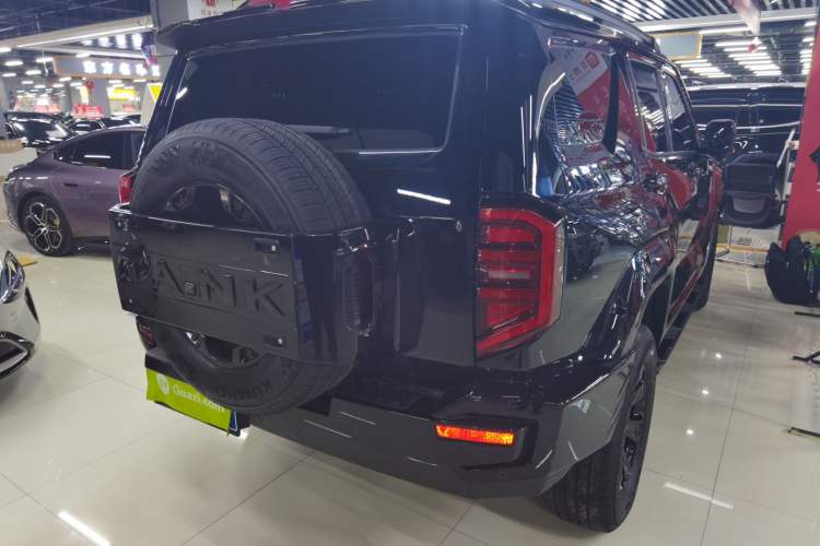 Used Tank 400 2025 2.0T Gasoline Version