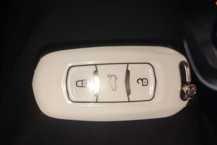 Used Geometry EX3 Kung Fu Cow 2021 Tough Bull Cow
