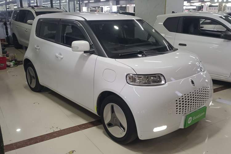 Used ORA White Cat 2020 360 km Luxury Version
