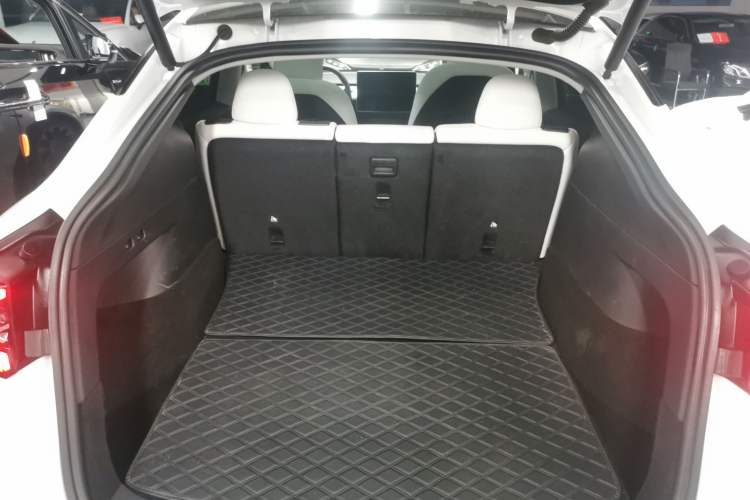 Used Tesla Model Y 2021 Standard Range Rear-Wheel Drive Version