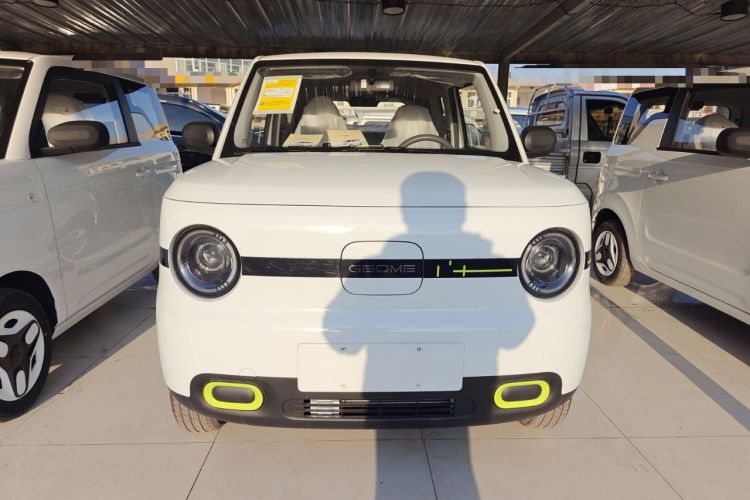 Used  Panda 2025 210 km – Yuanqi Bear