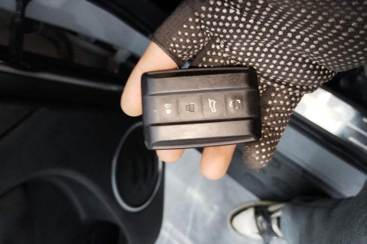 Used Tank 300 2023 Off-Road Edition 2.0T Challenger
