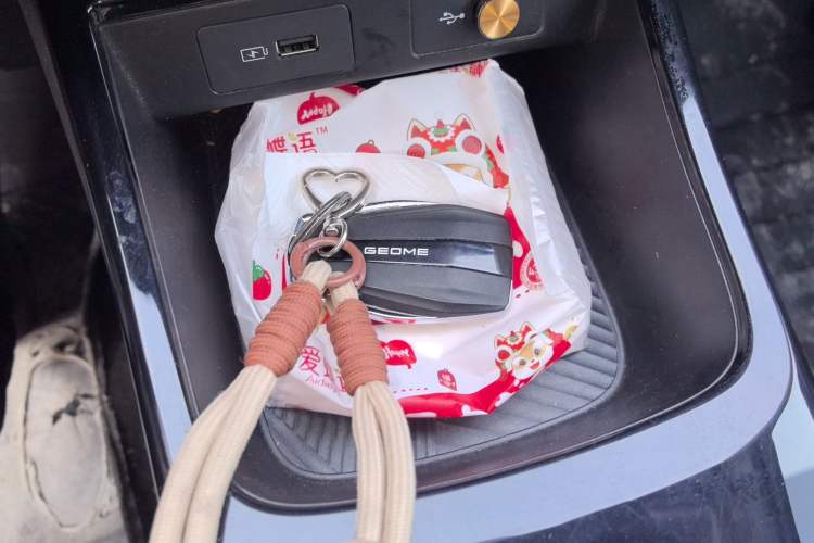 Used Geometry E Firefly 2024 401km Starlight