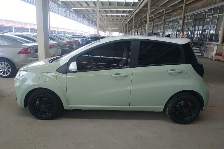 Used SOL E10X 2022 Flower Fairy Style Baby's Breath
