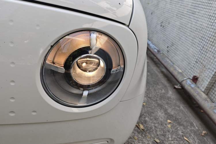 Used ORA Black Cat 2021 301 km Basic Version
