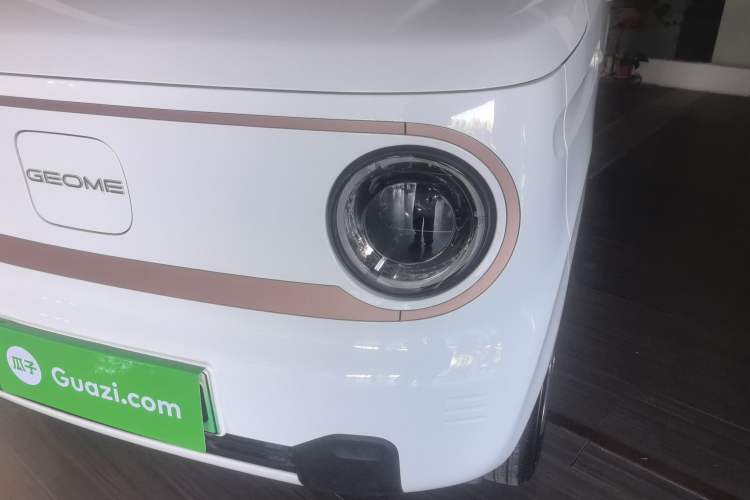 Used  Panda 2024 Panda Mini 200km Endurance Bear
