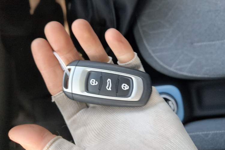 Used  Panda 2024 Panda Mini 200km Endurance Bear
