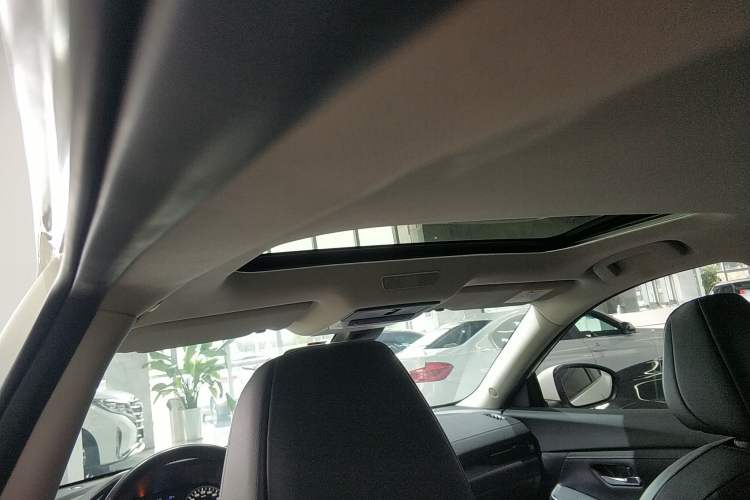 Used Nissan Sylphy 2022 1.6L XL CVT Enjoyment Edition
