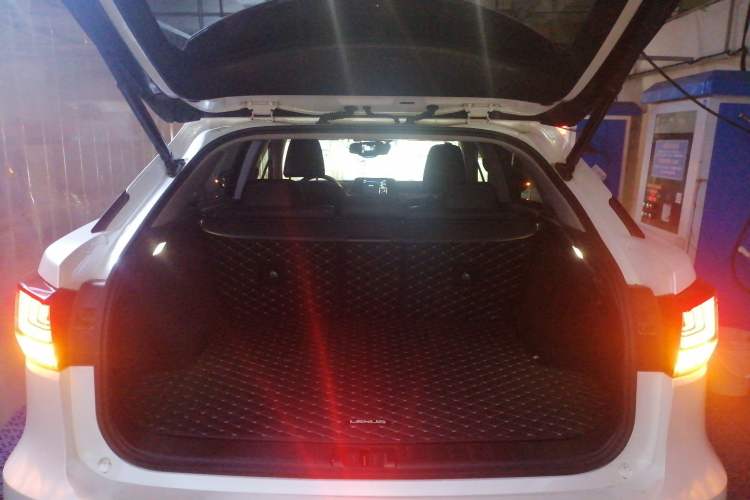 Used Lexus RX 2020 300 4x4 Elegant Edition China VI
