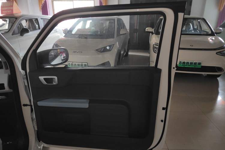 Used  Panda 2024 Panda Mini 200km Endurance Bear