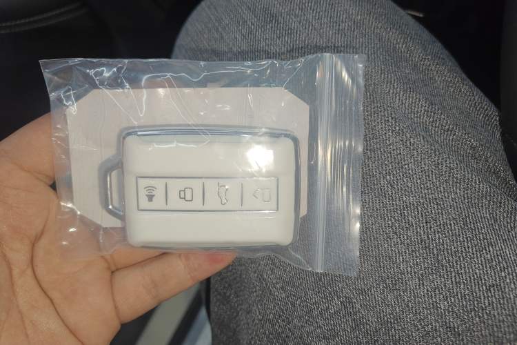 Used Tank 300 New Energy 2025 Hi4-T
