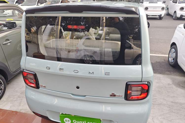 Used  Panda 2025 210 km – Yuanqi Bear
