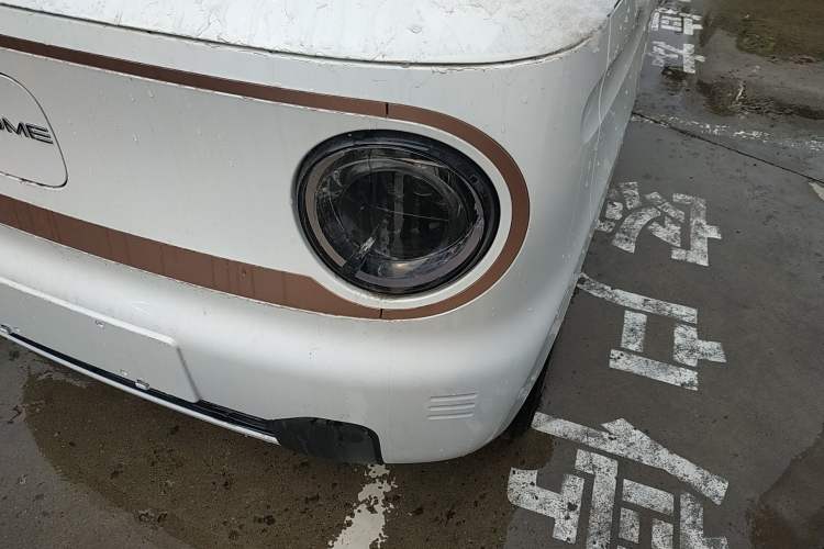 Used  Panda 2024 Panda Mini 200km Endurance Bear
