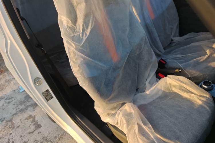 Used  Panda 2024 Panda Mini 200km Endurance Bear
