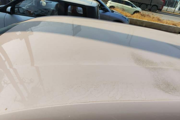 Used BYD Seagull 2025 305km Active Version
