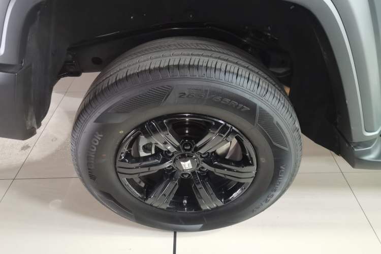 Used Tank 300 2025 2.0T Conqueror