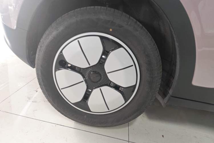 Used  Geome 2025 310km Youth Edition
