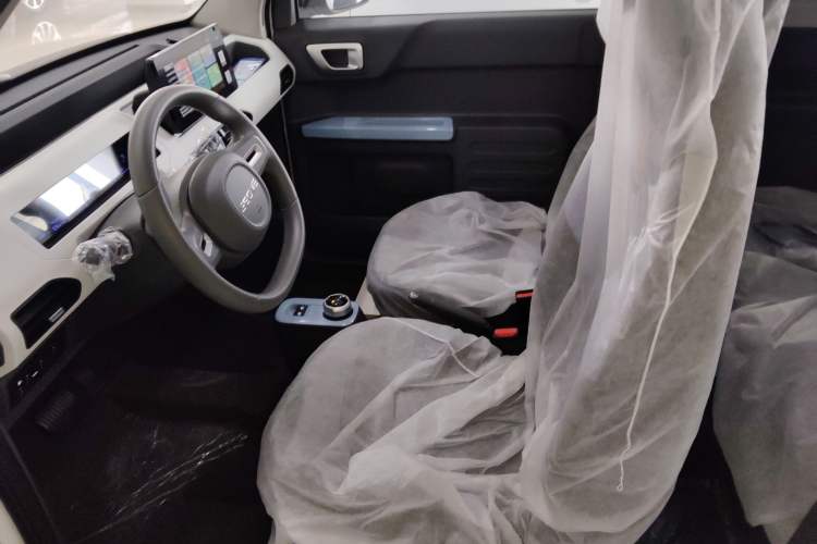 Used  Panda 2024 Panda Mini 200km Endurance Bear
