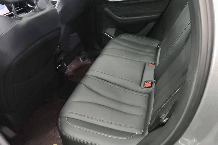 Used Geely Auto Monjaro L 2024 2.0TD DCT EVO Two-Wheel Drive Long-Range Version
