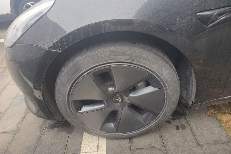 Used Tesla Model 3 2021 Standard Range Rear-Wheel Drive Upgraded Version 3D6
