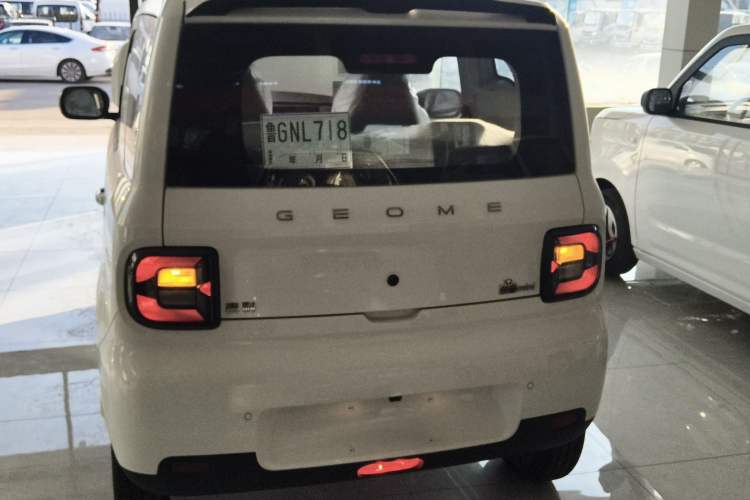 Used  Panda 2025 210 km – Yuanqi Bear
