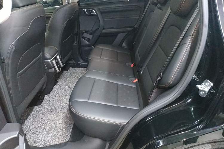 Used Haval DARGO 2024 2.0T DCT Chinese Rural Dog Edition