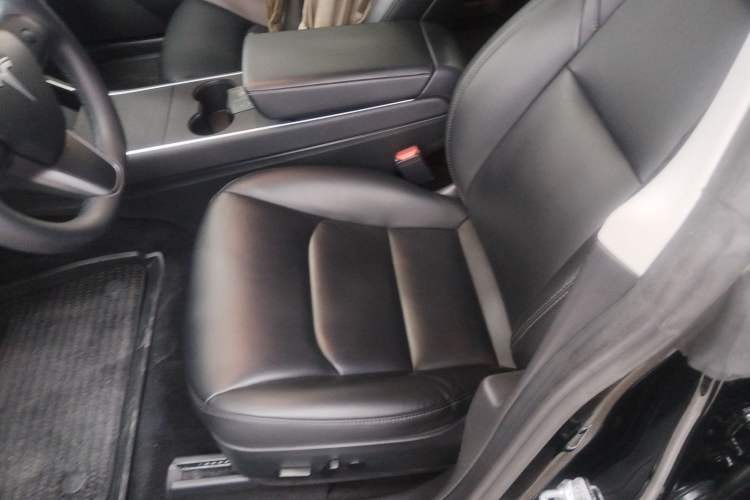 Used Tesla Model 3 2020 Standard Range Rear-Wheel Drive Upgraded Version