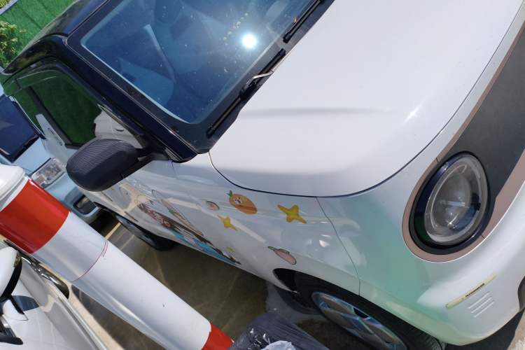 Used  Panda 2023 Panda Mini 120km Super Cute Bear
