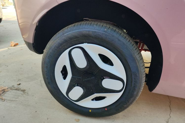 Used  Panda 2025 210 km – Yuanqi Bear
