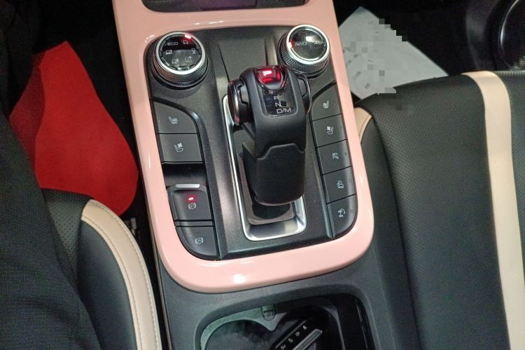 Used Tank 300 2021 City Edition 2.0T—Truly Stylish
