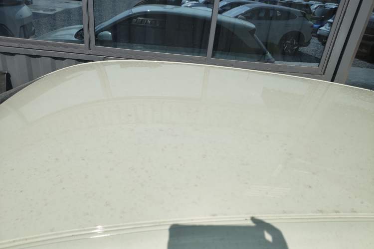 Used  Geome 2026 Model 310km Youth Edition
