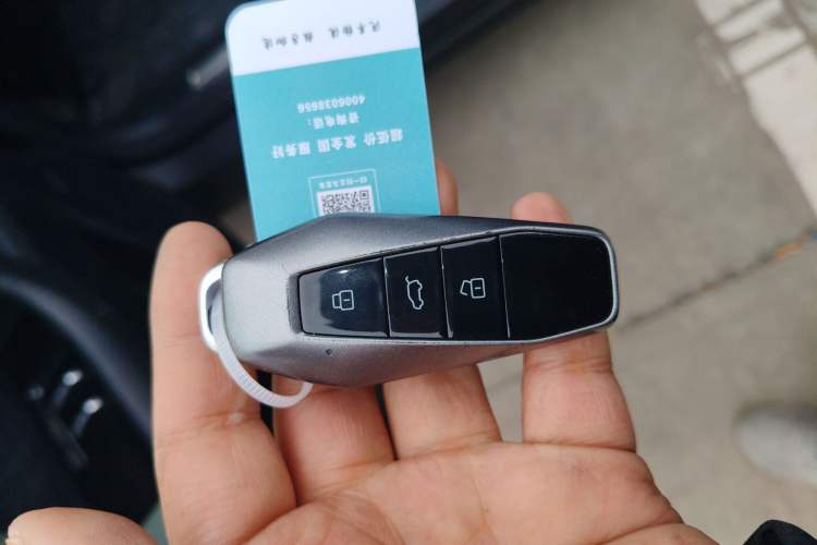 Used  03 2024 401km Two-Wheel Drive Standard Advanced Version