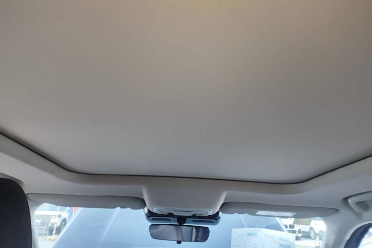 Used Haval DARGO 2022 2.0T DCT 4x4 Chinese Rural Dog Edition
