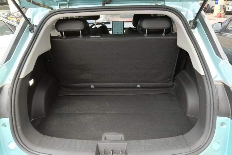 Used NETA V 2022 Long-Range Industry Custom Edition