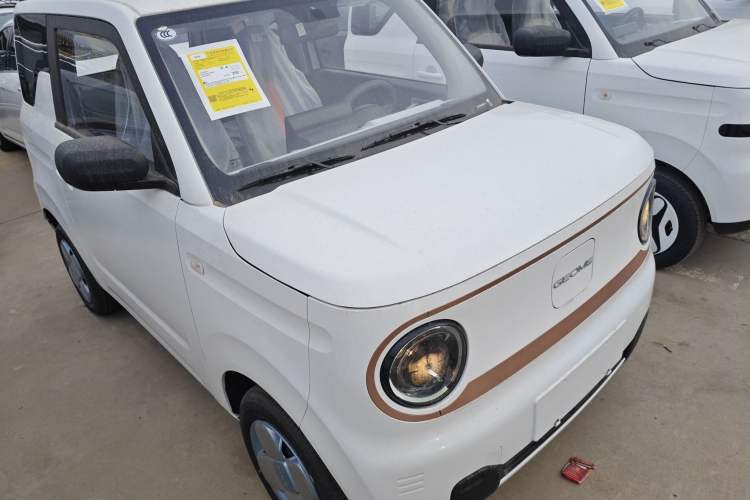 Used  Panda 2024 Panda Mini 200km Endurance Bear