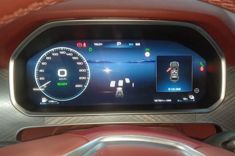 Used Tank 700 New Energy 2024 Hi4-T First-Edition Limited Model
