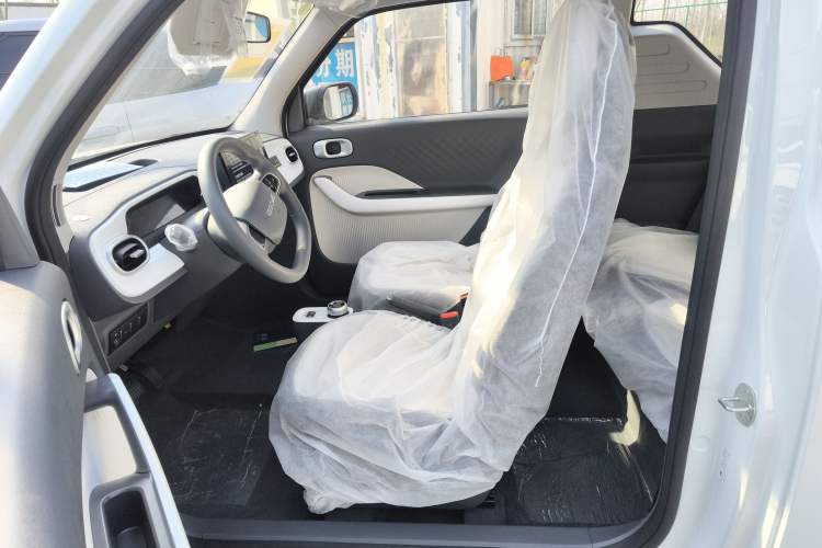 Used  Panda 2025 210 km – Yuanqi Bear
