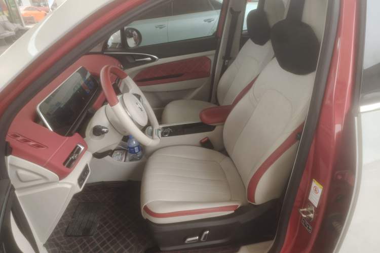 Used ORA Good Cat 2021 400km Standard Range Athena Edition Lithium-Ion Battery
