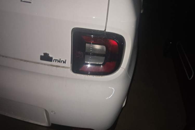 Used  Panda 2025 210 km – Yuanqi Bear
