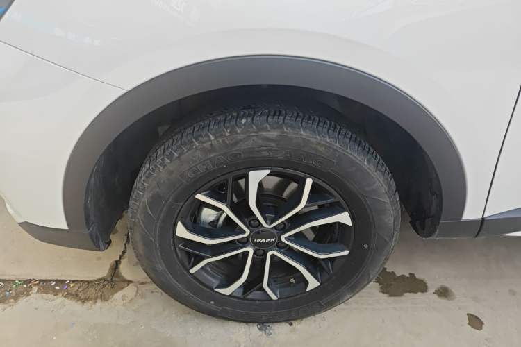 Used Haval H6 2023 National Trend Edition 1.5T Automatic Urban Version
