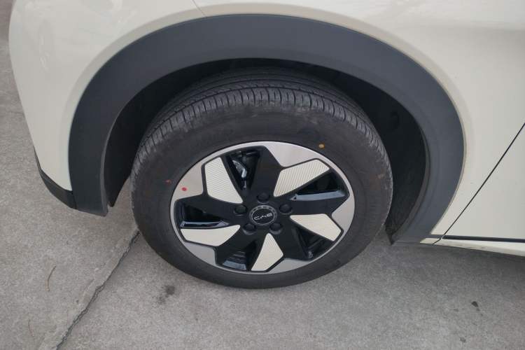 Used BYD Dolphin 2025 420km Free Edition
