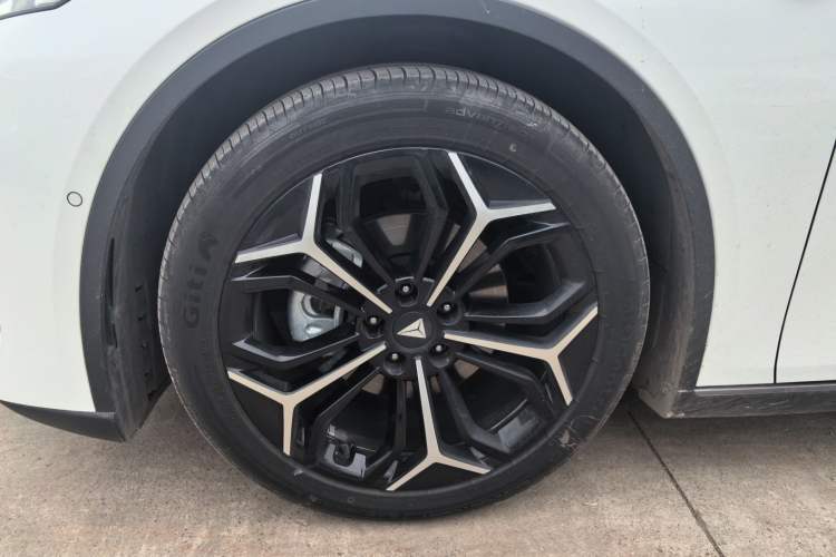 Used  L07 2024 300Max Extended-Range Version
