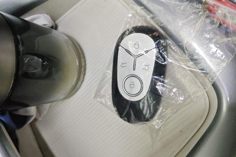 Used  Geome 2025 310km Youth Edition
