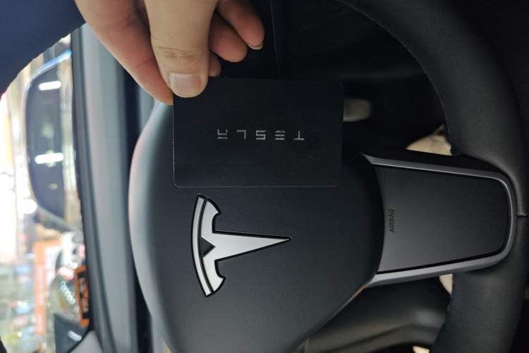 Used Tesla Model Y 2022 Revised Version Long-Range All-Wheel Drive
