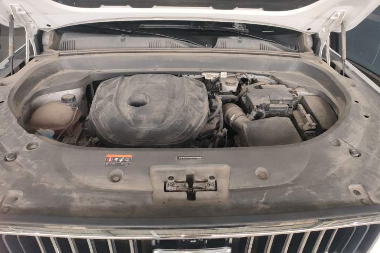 Used Geely Auto Monjaro L 2021 2.0TD DCT EVO Two-Wheel Drive Prestige Version
